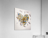 Hooked Acrylic Print