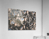 Race tangle Acrylic Print