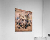 Horseshoe racing Acrylic Print