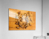 Around horseshoe track Acrylic Print