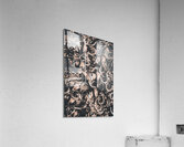 Racing charm Acrylic Print