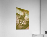 Chips off the old barrel Acrylic Print