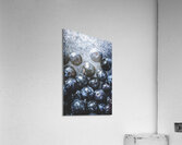 Deepest blacks are blue Acrylic Print