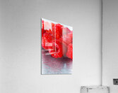 Berry moderns Acrylic Print