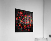 Berries on black Acrylic Print