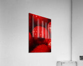 Raspberry macro Acrylic Print