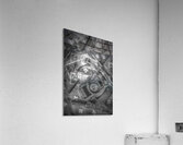 Honing in Acrylic Print