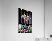 Rolljito Acrylic Print