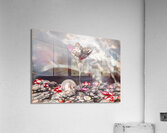 Mocktail Acrylic Print