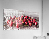 Delicious summer Acrylic Print