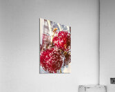 Cheerybration Acrylic Print