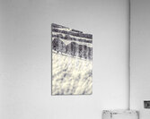 Grasslands Acrylic Print