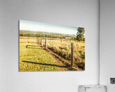 Farmland view Acrylic Print