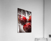 Cherry fizz Acrylic Print