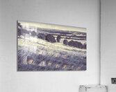 Sloping serenity Acrylic Print