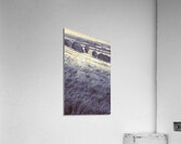 Kingaroy country Acrylic Print