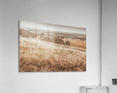 Expansive hills and rustic fencing Acrylic Print