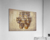 Owlnate Acrylic Print