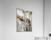 Wiretap Wonder Acrylic Print