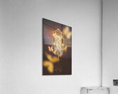 Electric cages Acrylic Print