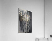 Former Fashion Acrylic Print