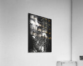 Desimilation  Acrylic Print