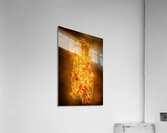 Free Flight To Free Form Acrylic Print