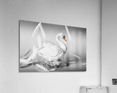 On a porcelain pedestal Acrylic Print