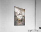 Reflective synopsis  Acrylic Print