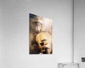 In Mist And Verse Acrylic Print