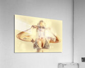 Flares And Shades Acrylic Print