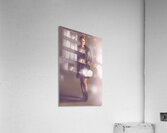 Shimmering Elegance Acrylic Print