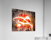 Chilli n Roast Acrylic Print