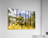 Mount Perry Acrylic Print