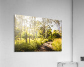 Nature Lovers Lane Acrylic Print
