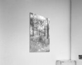 Grey Vertices  Acrylic Print