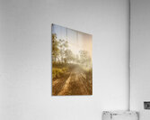 Upcountry Ruggeds  Acrylic Print