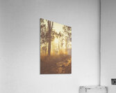 Dirt Road Dawn Acrylic Print