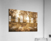 Autumn Wander Acrylic Print