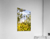 Glimpses Of Mt Perry Acrylic Print