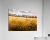 In The Outbacks Acrylic Print