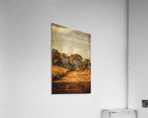 Country Weathered Acrylic Print