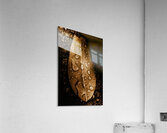 Autumn Rains Acrylic Print