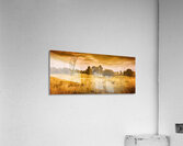 Weatherly Charm Acrylic Print