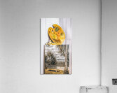 Artscapade Acrylic Print