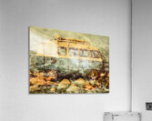 Down Under Acrylic Print