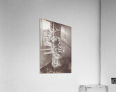 Beauty Never Fades Acrylic Print