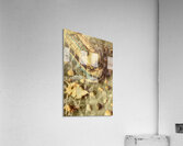 Surf Crazy Acrylic Print