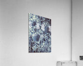 Seaform Acrylic Print