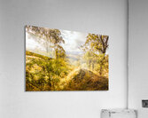 Valley Views Acrylic Print